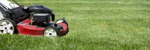 mowing a healthy lawn