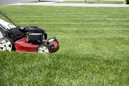 mowing a healthy lawn