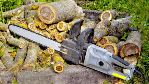 Tree cutting and removal with chainsaw