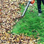 Cleaning up leaves with a leaf blower