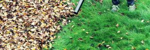 Cleaning up leaves with a leaf blower