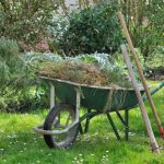 cleaning up overgrowth in yard