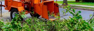 Land Clearing property